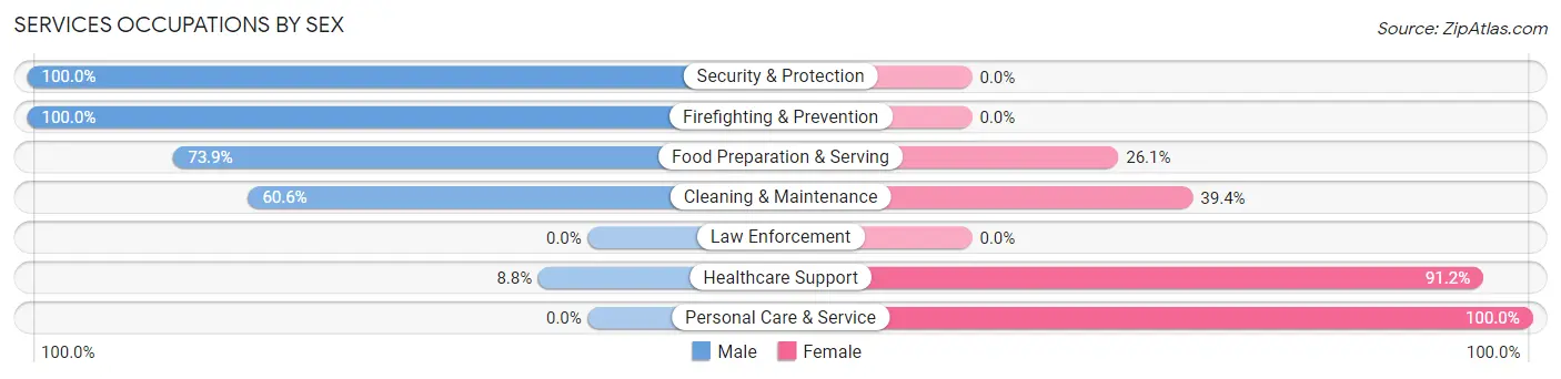 Services Occupations by Sex in Zip Code 28692