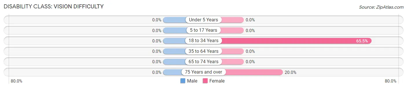 Disability in Zip Code 28693: <span>Vision Difficulty</span>