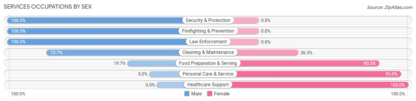Services Occupations by Sex in Zip Code 28694
