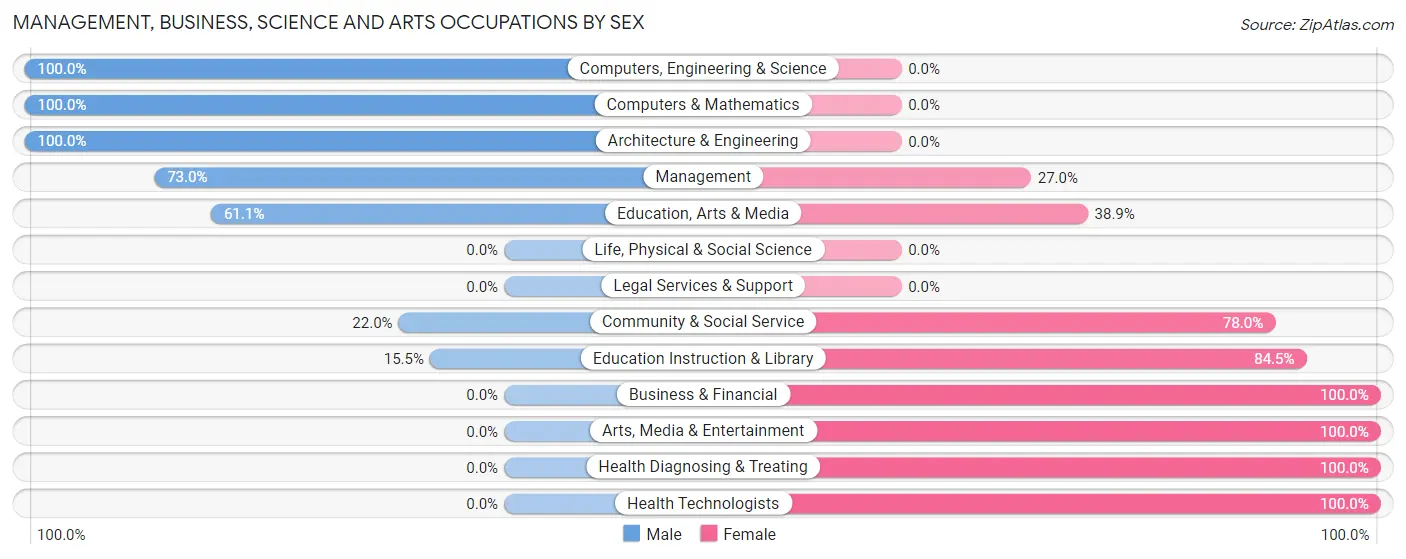 Management, Business, Science and Arts Occupations by Sex in Zip Code 28701