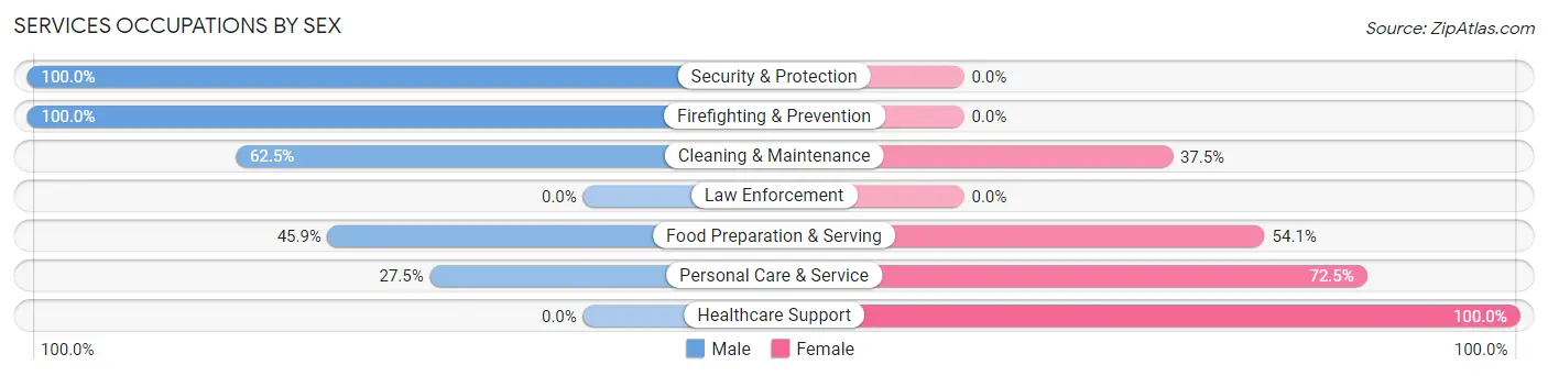 Services Occupations by Sex in Zip Code 28701