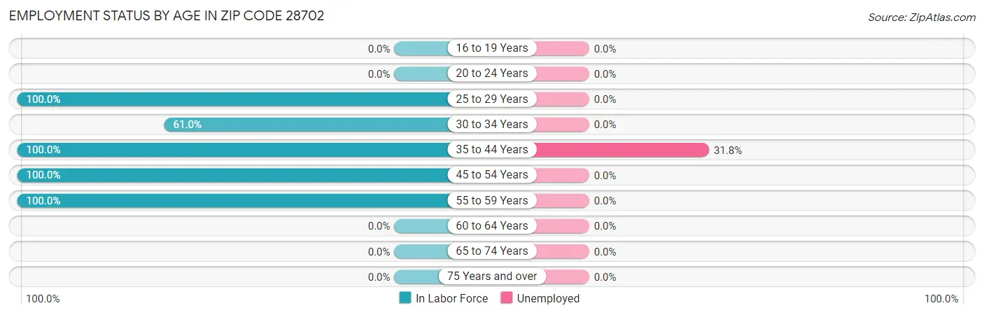 Employment Status by Age in Zip Code 28702