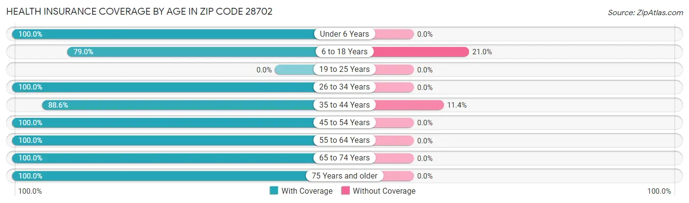 Health Insurance Coverage by Age in Zip Code 28702