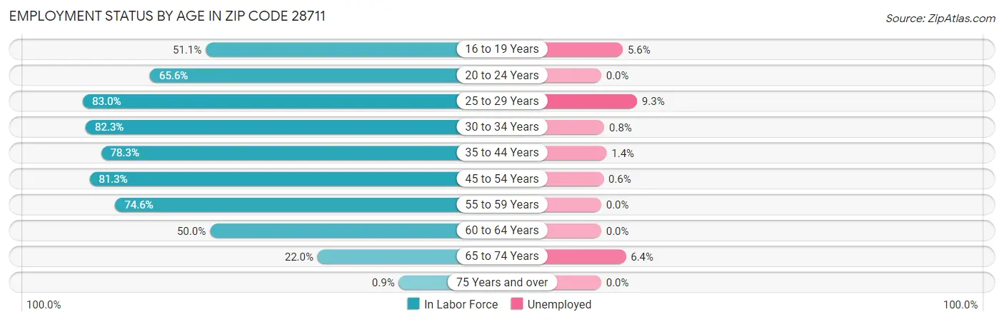 Employment Status by Age in Zip Code 28711