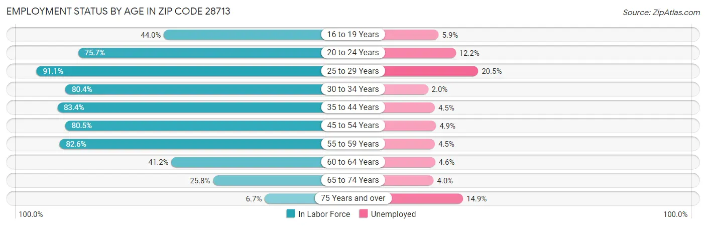 Employment Status by Age in Zip Code 28713