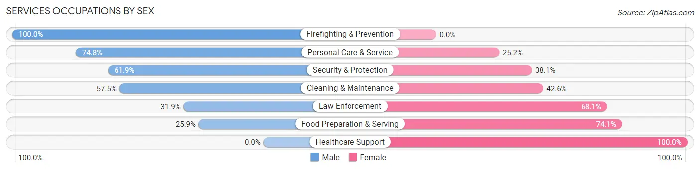 Services Occupations by Sex in Zip Code 28713