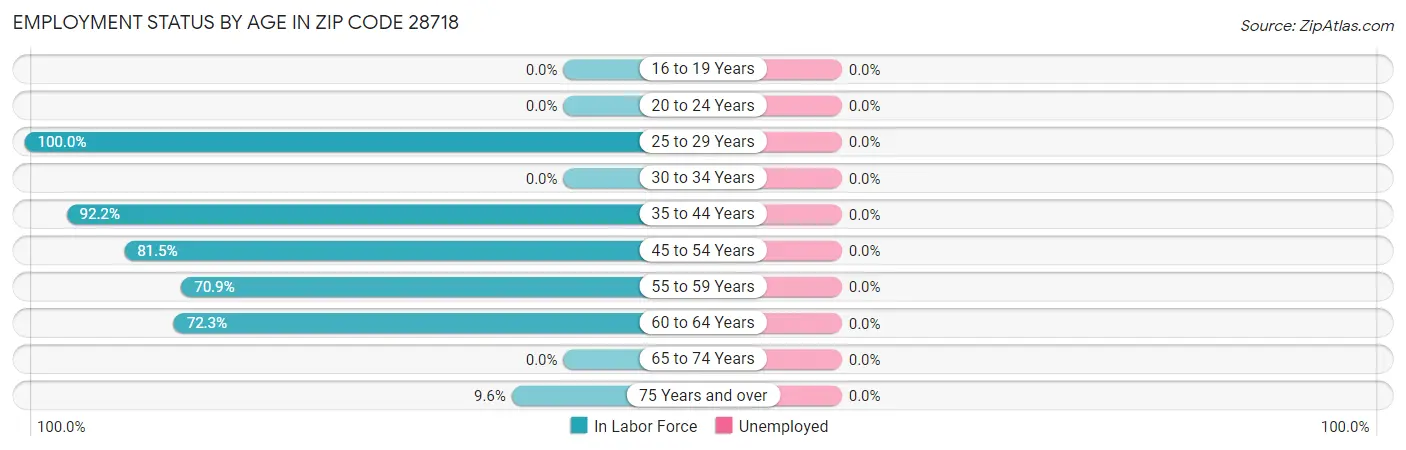 Employment Status by Age in Zip Code 28718