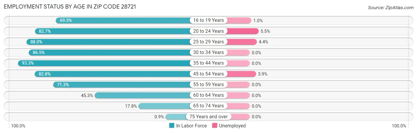 Employment Status by Age in Zip Code 28721