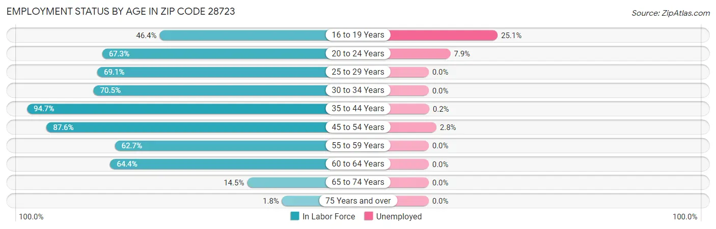 Employment Status by Age in Zip Code 28723