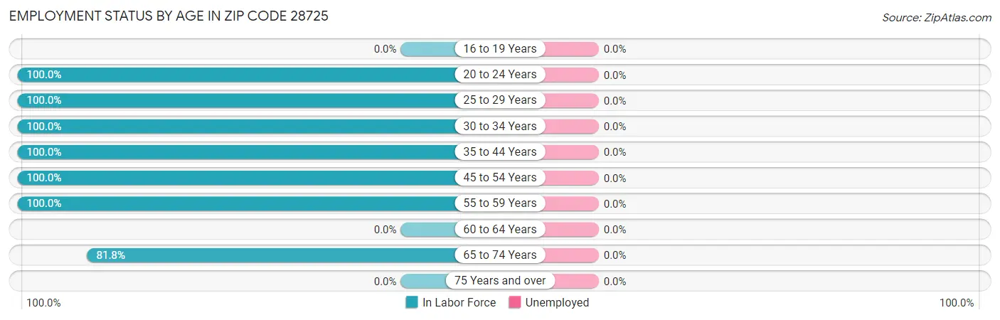 Employment Status by Age in Zip Code 28725