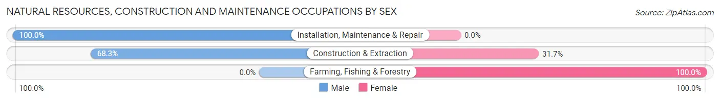 Natural Resources, Construction and Maintenance Occupations by Sex in Zip Code 28726