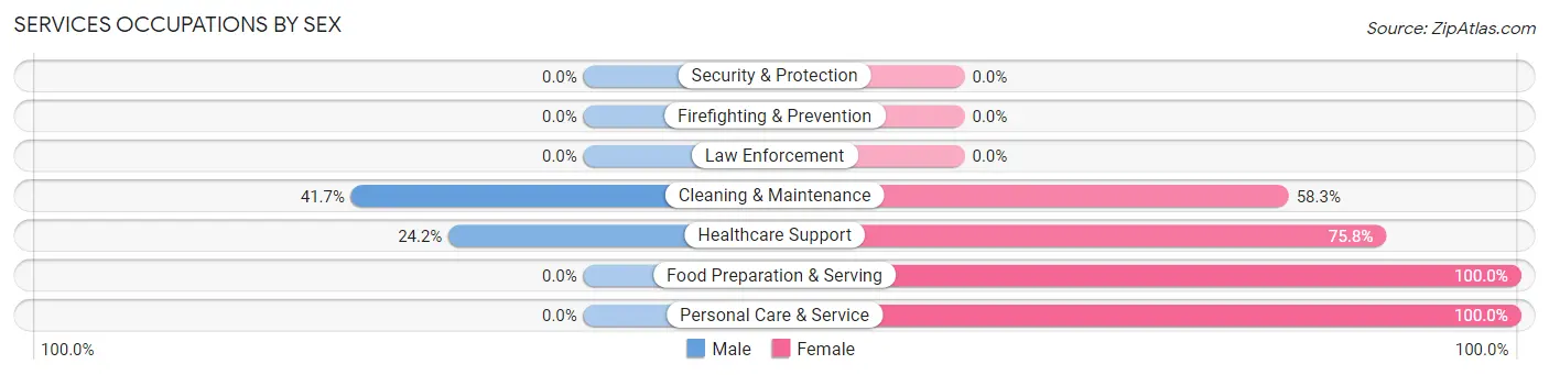 Services Occupations by Sex in Zip Code 28726
