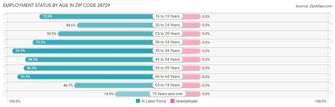 Employment Status by Age in Zip Code 28729