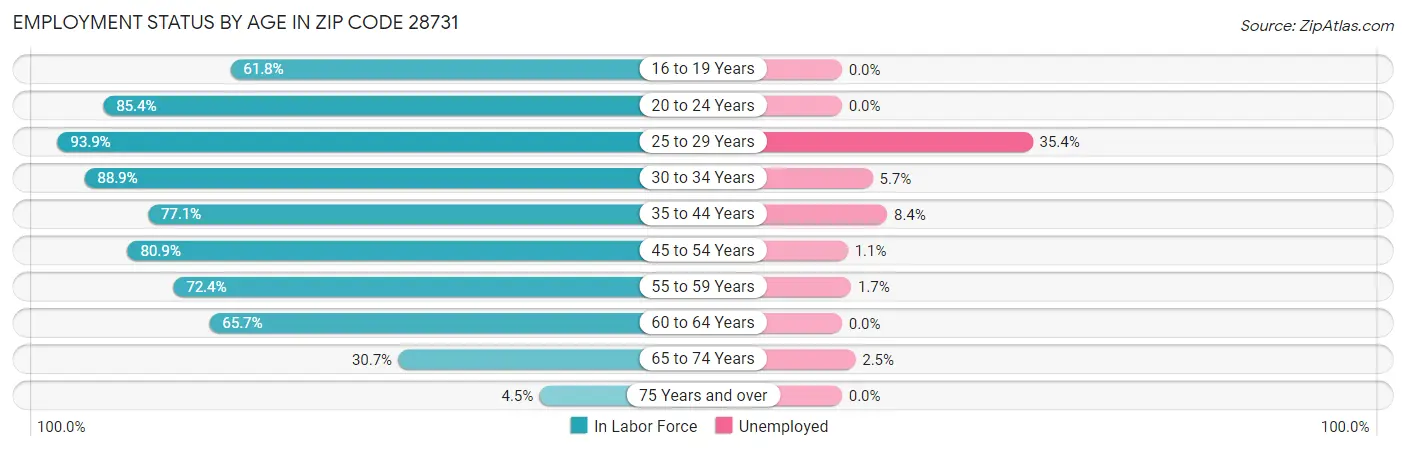 Employment Status by Age in Zip Code 28731