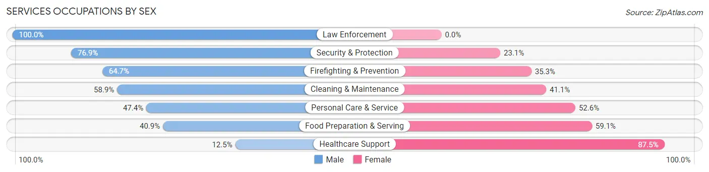 Services Occupations by Sex in Zip Code 28731