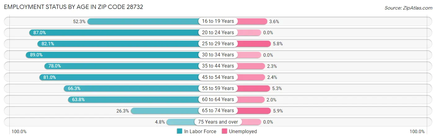Employment Status by Age in Zip Code 28732