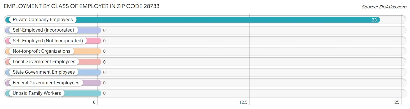 Employment by Class of Employer in Zip Code 28733