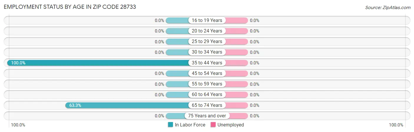 Employment Status by Age in Zip Code 28733