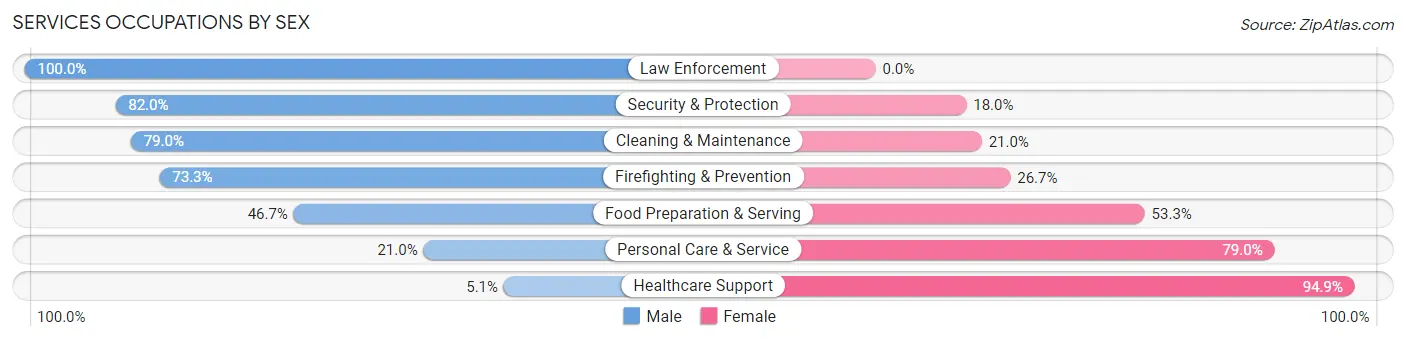 Services Occupations by Sex in Zip Code 28734
