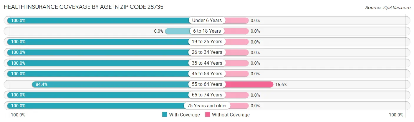 Health Insurance Coverage by Age in Zip Code 28735