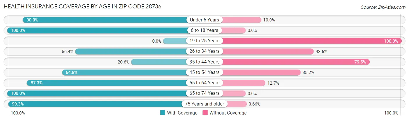 Health Insurance Coverage by Age in Zip Code 28736