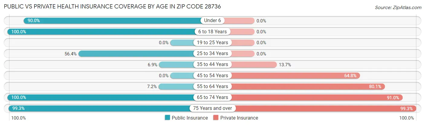 Public vs Private Health Insurance Coverage by Age in Zip Code 28736
