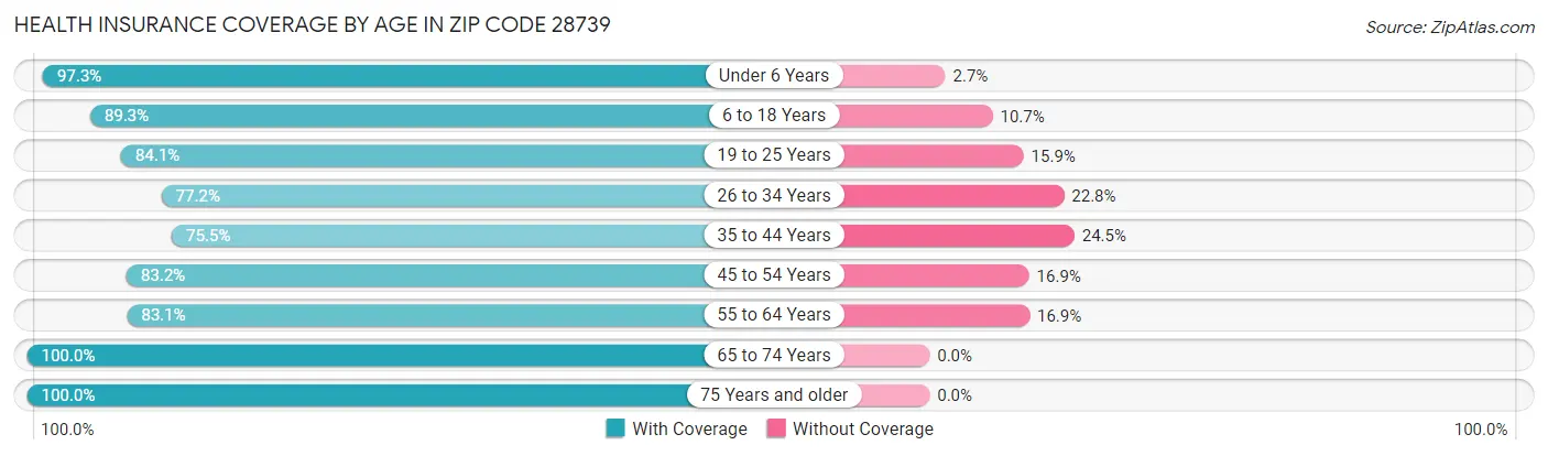 Health Insurance Coverage by Age in Zip Code 28739