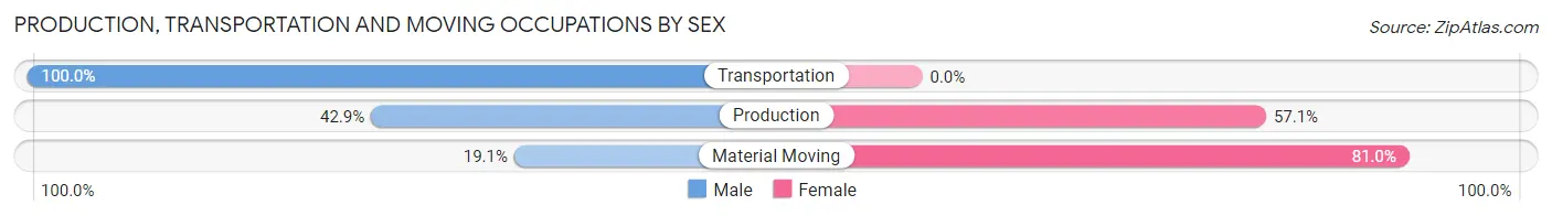 Production, Transportation and Moving Occupations by Sex in Zip Code 28740