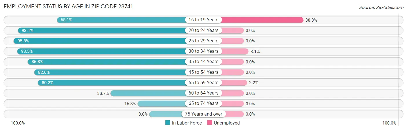 Employment Status by Age in Zip Code 28741