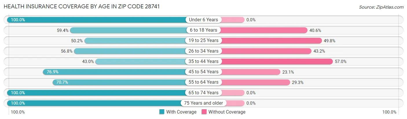 Health Insurance Coverage by Age in Zip Code 28741