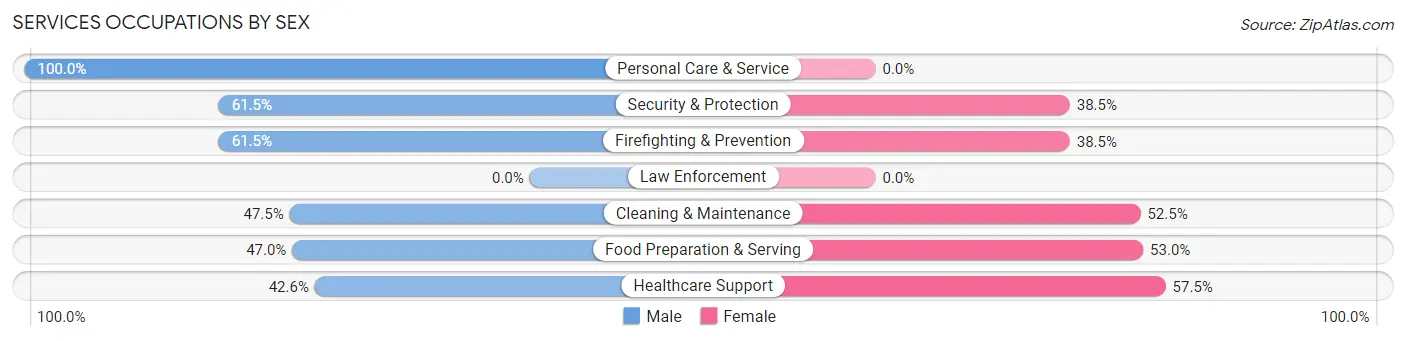 Services Occupations by Sex in Zip Code 28741
