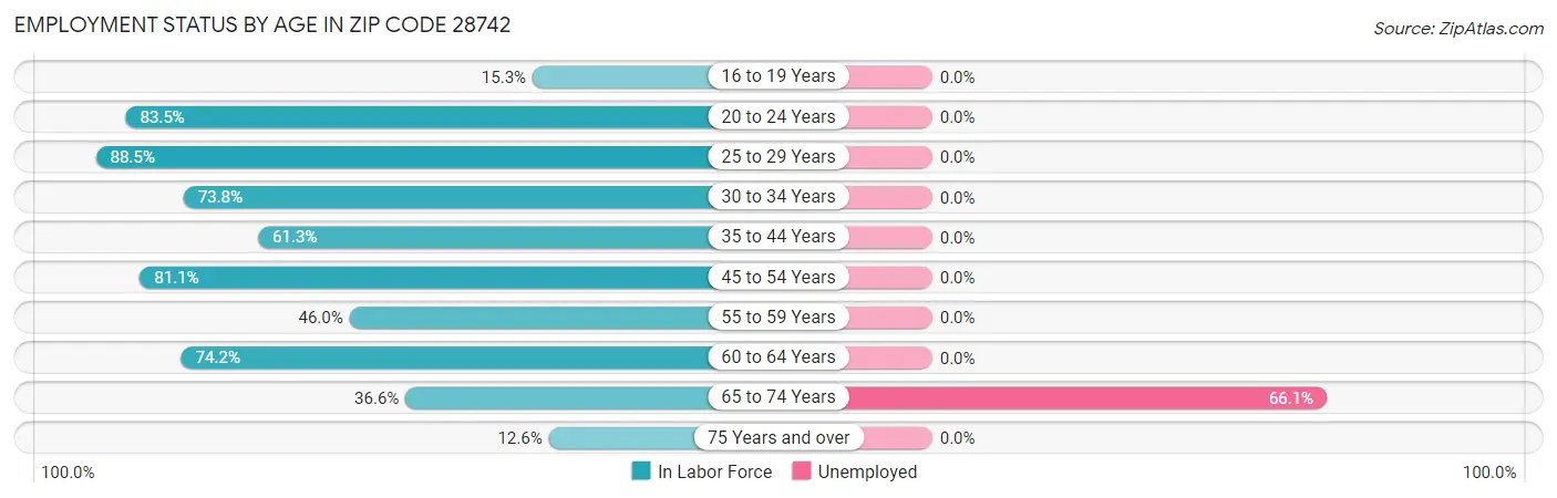 Employment Status by Age in Zip Code 28742