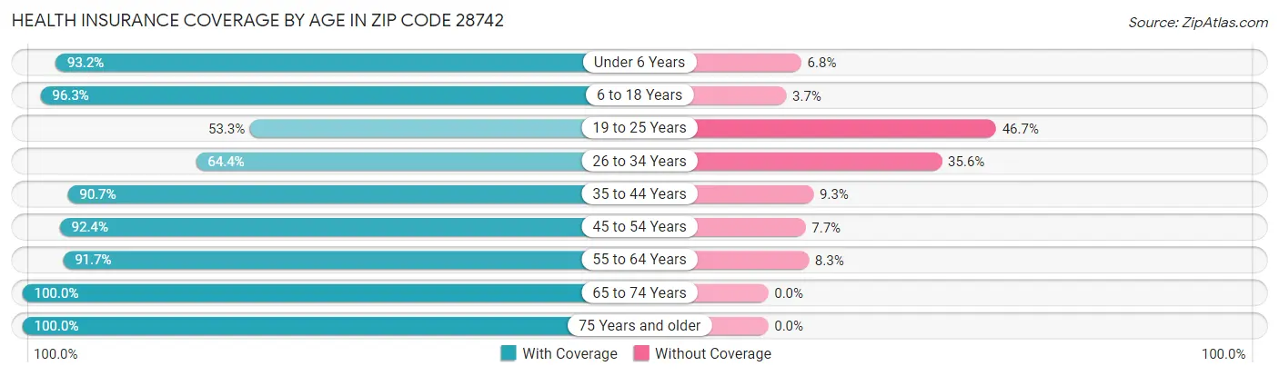Health Insurance Coverage by Age in Zip Code 28742