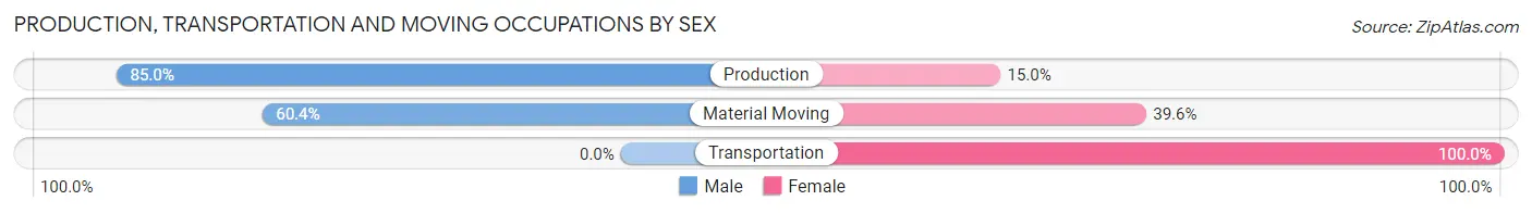 Production, Transportation and Moving Occupations by Sex in Zip Code 28742