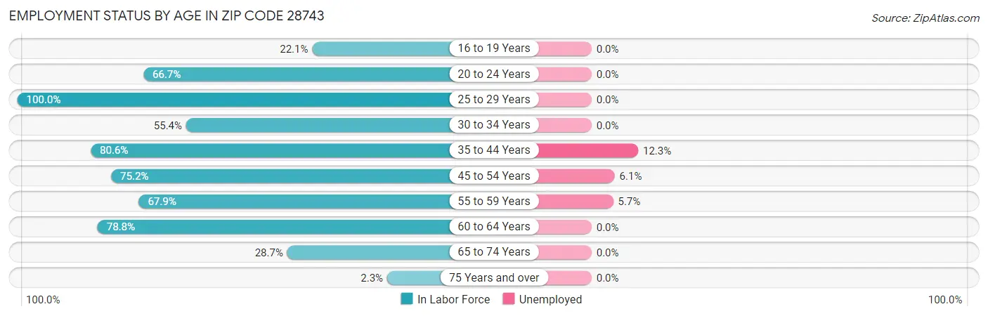 Employment Status by Age in Zip Code 28743