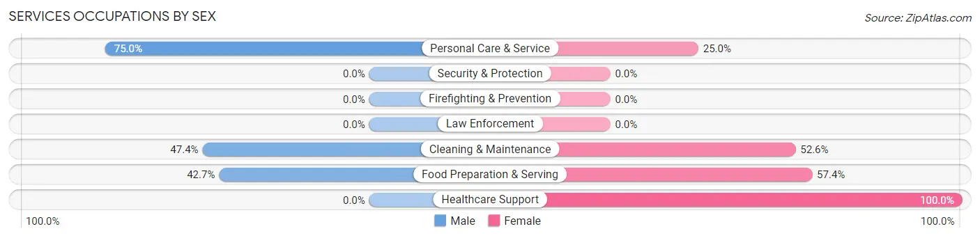 Services Occupations by Sex in Zip Code 28743