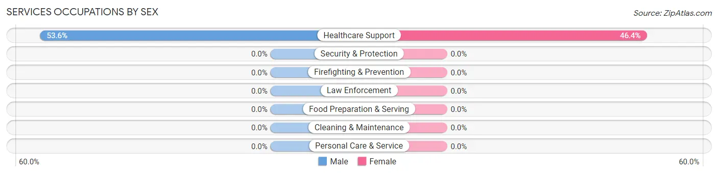 Services Occupations by Sex in Zip Code 28745