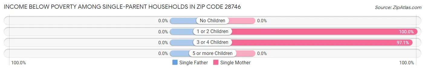 Income Below Poverty Among Single-Parent Households in Zip Code 28746