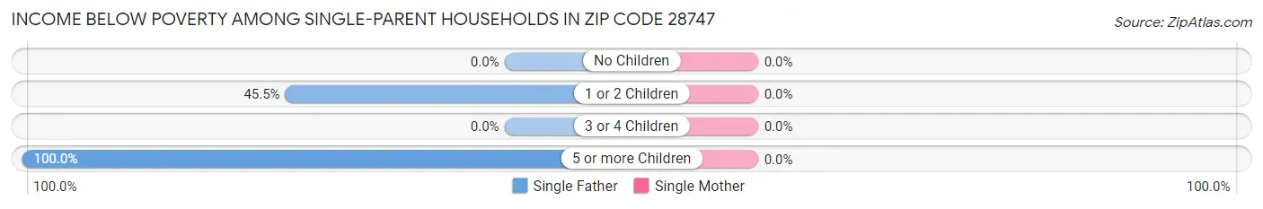 Income Below Poverty Among Single-Parent Households in Zip Code 28747