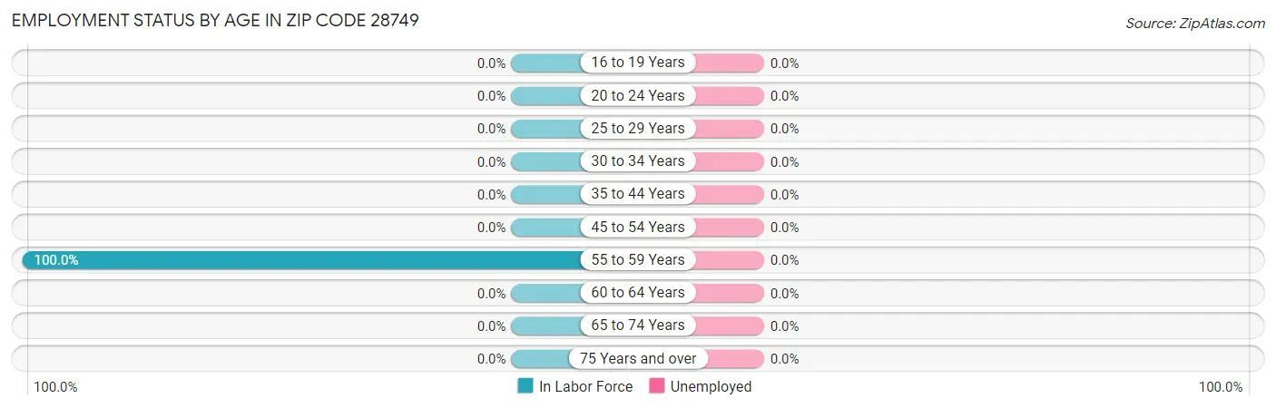 Employment Status by Age in Zip Code 28749