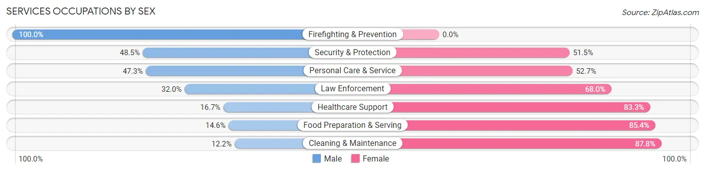 Services Occupations by Sex in Zip Code 28751