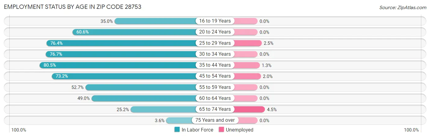 Employment Status by Age in Zip Code 28753
