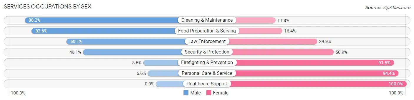 Services Occupations by Sex in Zip Code 28753
