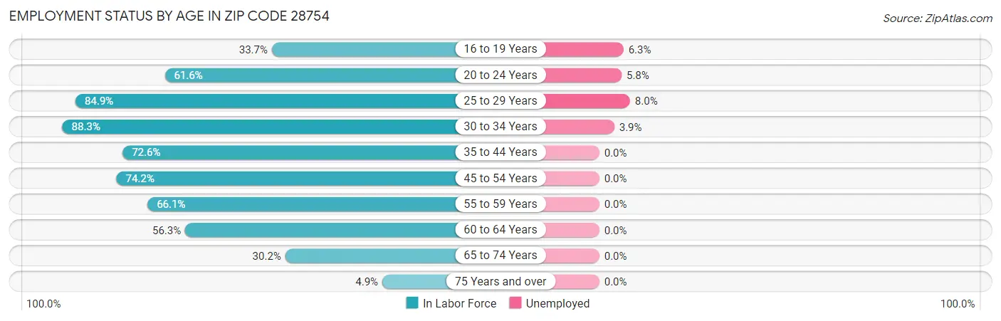 Employment Status by Age in Zip Code 28754