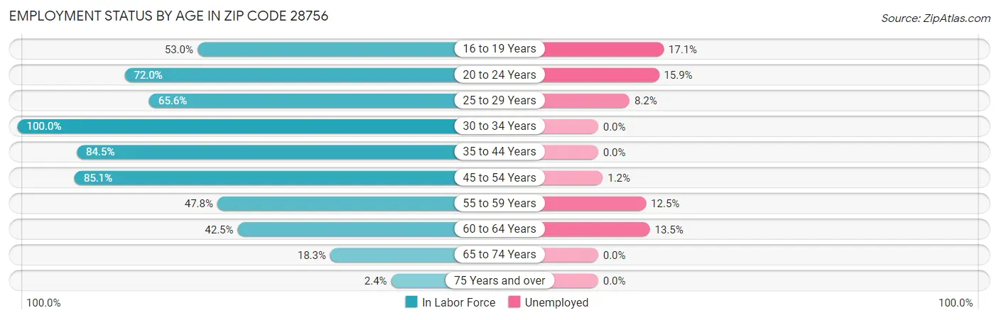 Employment Status by Age in Zip Code 28756