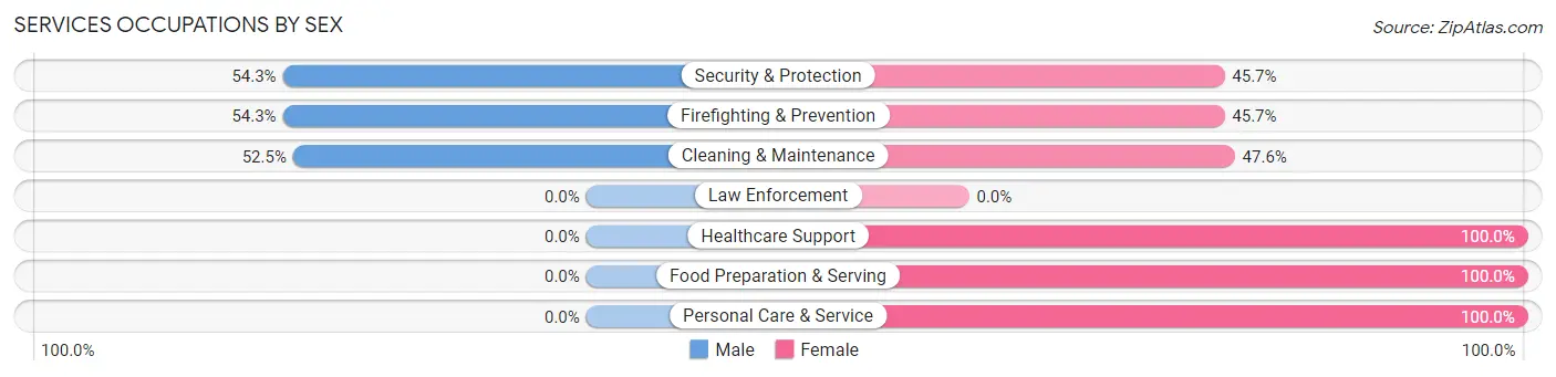 Services Occupations by Sex in Zip Code 28756