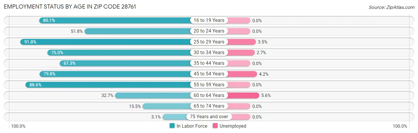 Employment Status by Age in Zip Code 28761