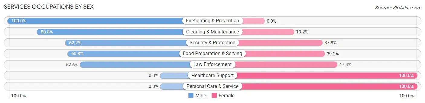 Services Occupations by Sex in Zip Code 28761