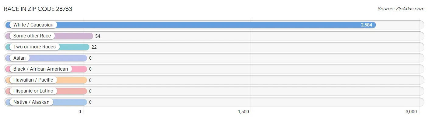 Race in Zip Code 28763