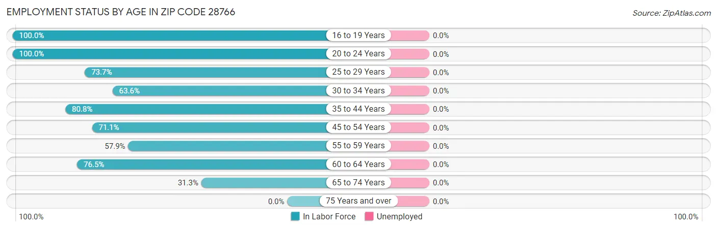 Employment Status by Age in Zip Code 28766